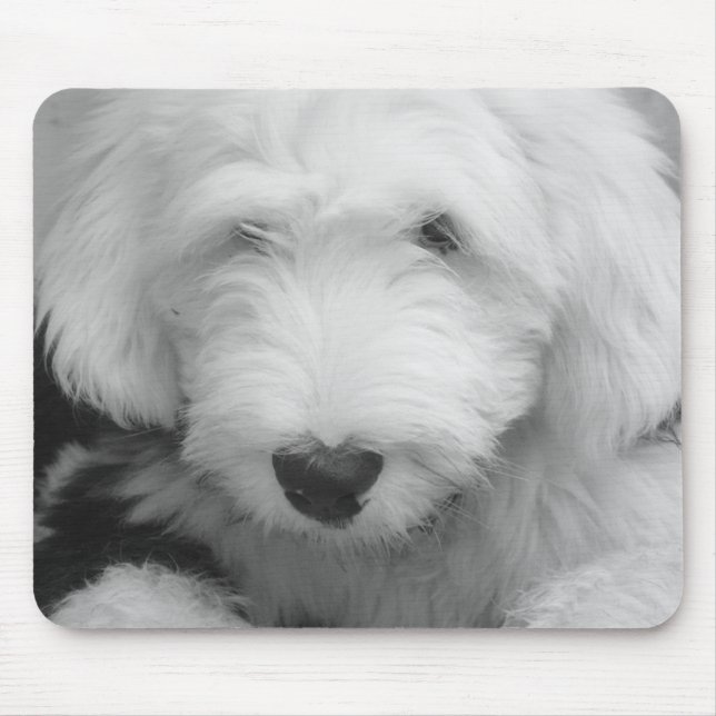 Schäferhund-Foto-Mausunterlage Mousepad (Vorne)
