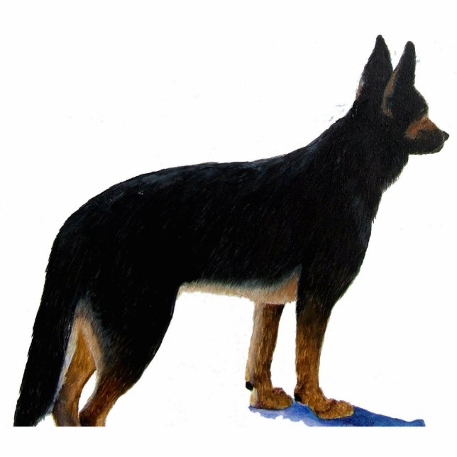 Schäferhund-Foto-Skulptur Freistehende Fotoskulptur (Vorne)