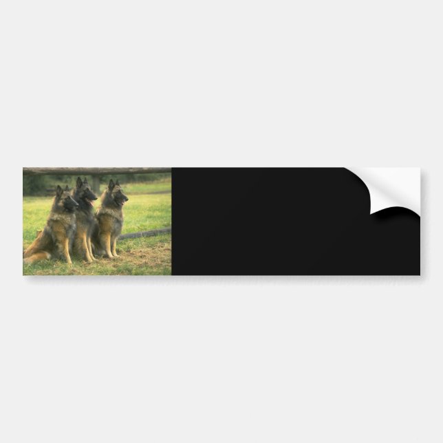 Schäferhund-Geschenke Autoaufkleber (Vorne)