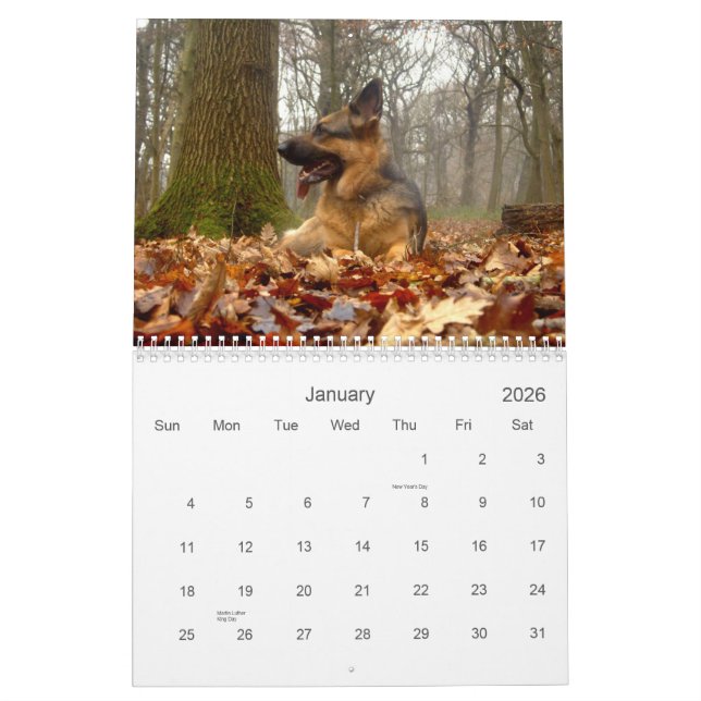 Schäferhund- (GSD)Kalender Kalender (Jan 2026)