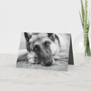 Schäferhund-Haustier-Verlust-Beileid Karte