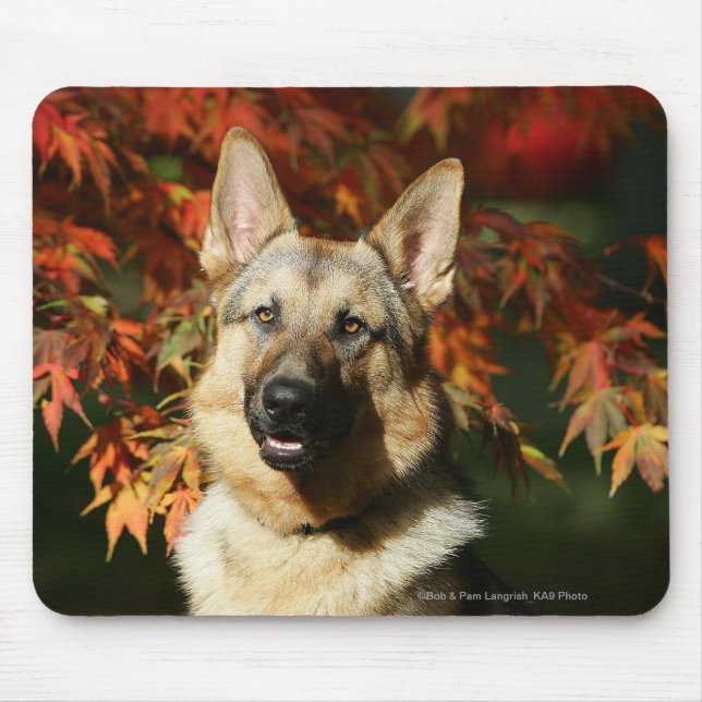 Schäferhund-Herbst-Blätter Mousepad (Vorne)