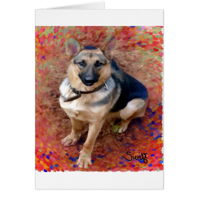 Schäferhund-Hund (Vorne)