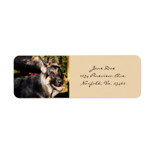 Schäferhund-Hund