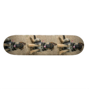 Schäferhund-Hündchen-Skateboard Skateboard
