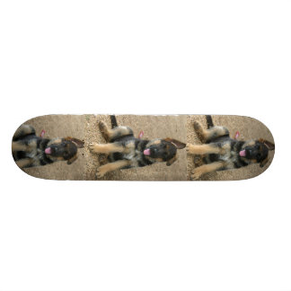 Schäferhund-Hündchen-Skateboard Skateboard