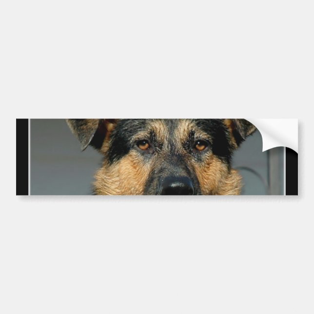 Schäferhund-HundeAutoaufkleber Autoaufkleber (Vorne)