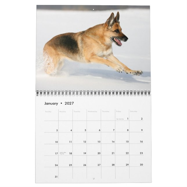 Schäferhund-Hundewandkalender Kalender (Jan 2027)
