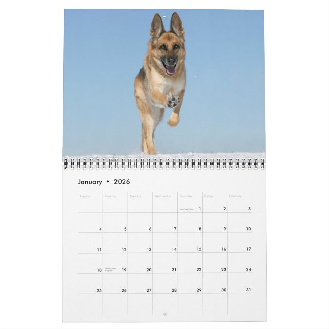 Schäferhund-Hundewandkalender Kalender (Jan 2026)