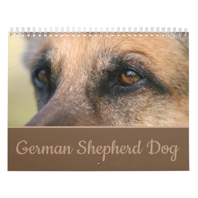 Schäferhund-Hundewandkalender Kalender (Titelbild)
