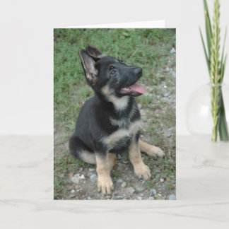 Schäferhund-Hundewelpe Karte