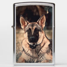 Schäferhund-HundZippo Taschen-Feuerzeug