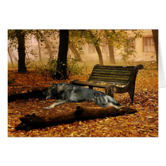 Schäferhund "ich habe Recht dort "