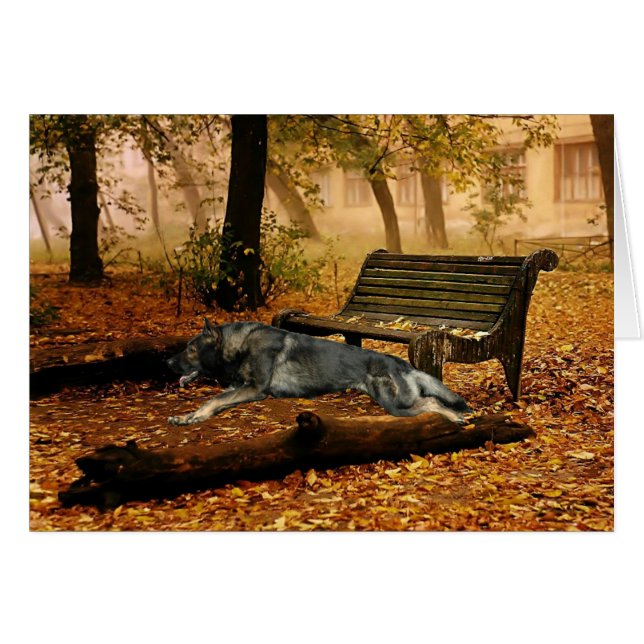 Schäferhund "ich habe Recht dort " (Vorderseite (Horizontal))