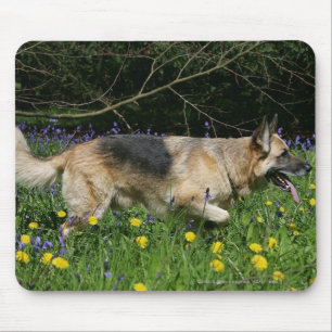 Schäferhund in den gelben Blumen Mousepad