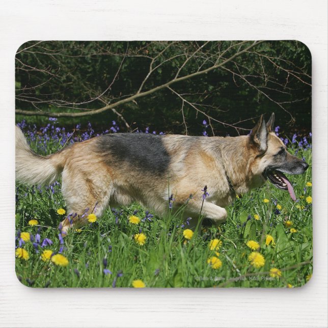 Schäferhund in den gelben Blumen Mousepad (Vorne)