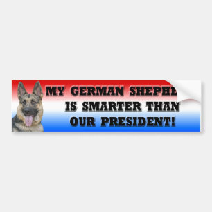 Schäferhund intelligenter als Präsident Autoaufkleber