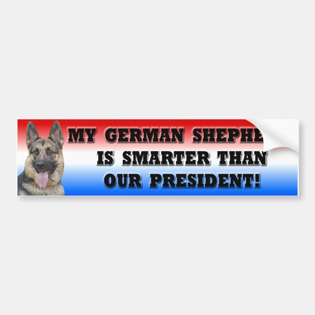 Schäferhund intelligenter als Präsident Autoaufkleber (Vorne)