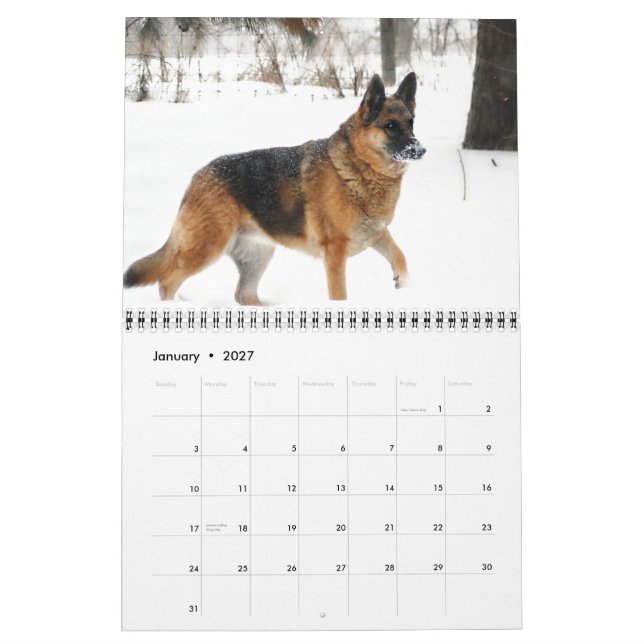 Schäferhund-Kalender 2015 Kalender (Jan 2027)