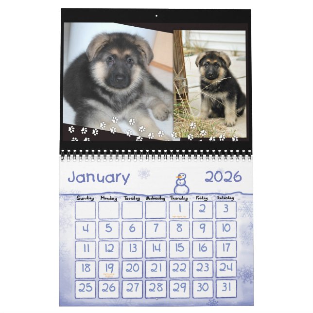 Schäferhund-Kalender Kalender (Jan 2026)
