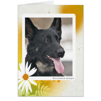 Schäferhund-Karte