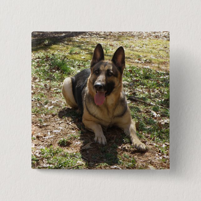 Schäferhund-Knopf Button (Vorderseite)