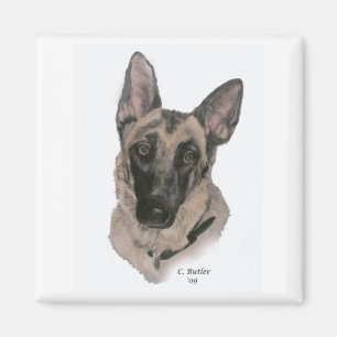 Schäferhund Magnet