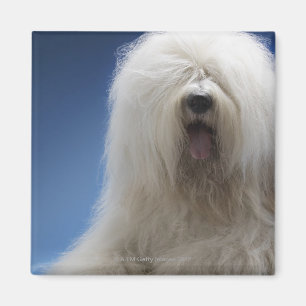 Schäferhund Magnet