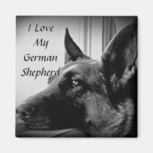 Schäferhund-Magnet Magnet