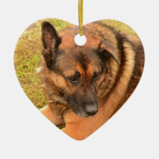 Schäferhund mit einem schlaffen Ohr Keramik Ornament