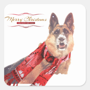 Schäferhund mit Feiertags-Schal Quadratischer Aufkleber