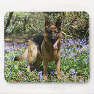 Schäferhund-Niederlegung Mousepad