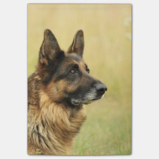 Schäferhund Post-it Klebezettel