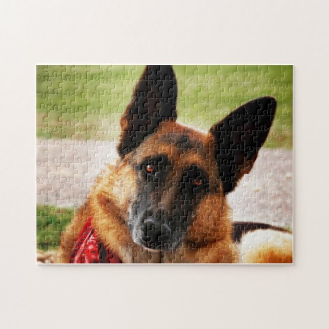 Schäferhund Puzzle (Horizontal)