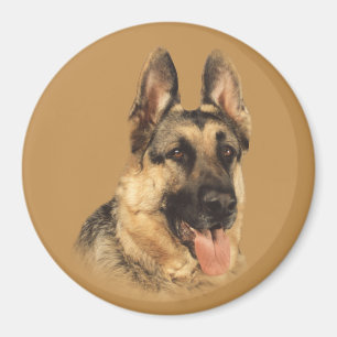 Schäferhund-sehr hübscher Magnet