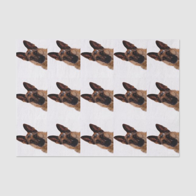 Schäferhund-Seidenpapier Seidenpapier (Vorderseite)