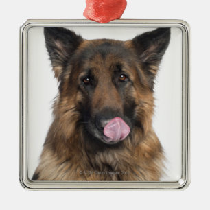 Schäferhund Silbernes Ornament