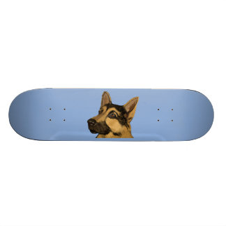 Schäferhund Skateboard