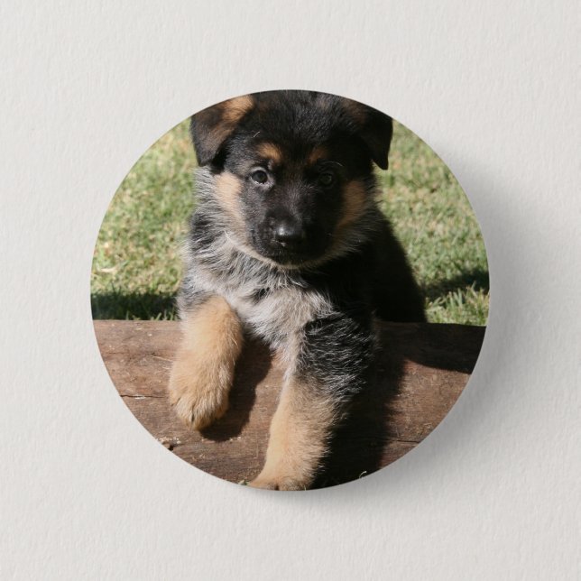 Schäferhund-Welpe "große maximale " Button (Vorderseite)