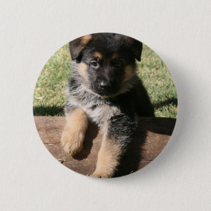 Schäferhund-Welpe "große maximale " Button