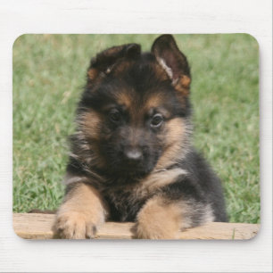 Schäferhund-Welpe Mousepad