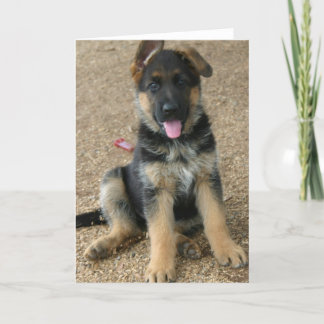 Schäferhund-Welpen-Gruß-Karte Karte