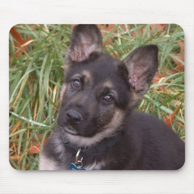 Schäferhund-Welpen-Mausunterlage Mousepad (Vorne)