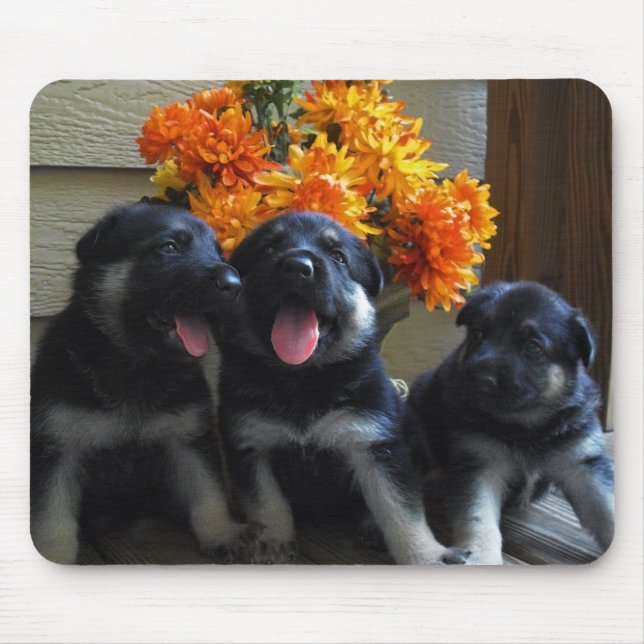 Schäferhund-Welpen Mousepad (Vorne)