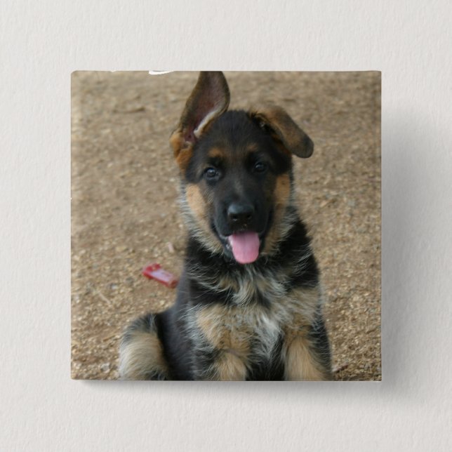 Schäferhund-Welpen-Quadrat-Button Button (Vorderseite)