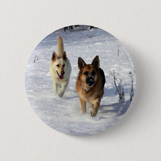Schäferhunde, die in den Schnee laufen Button (Vorderseite)