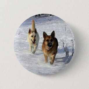 Schäferhunde, die in den Schnee laufen Button