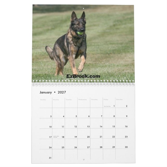 Schäferhunde in der Aktion Kalender (Jan 2027)