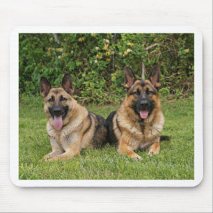 Schäferhunde Mousepad