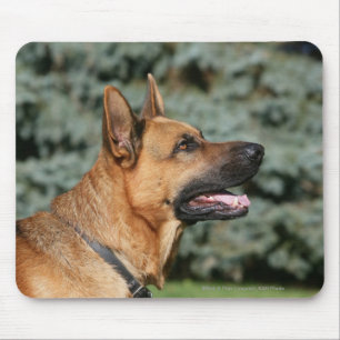 SchäferhundHeadshot 1 Mousepad